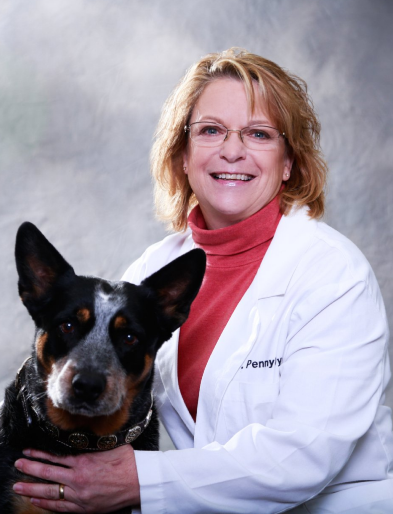 Our Veterinarians | Dakota Hills Veterinary Clinic